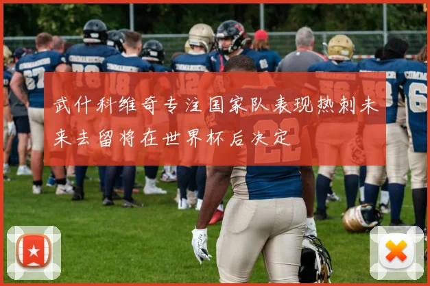 武什科维奇专注国家队表现热刺未来去留将在世界杯后决定