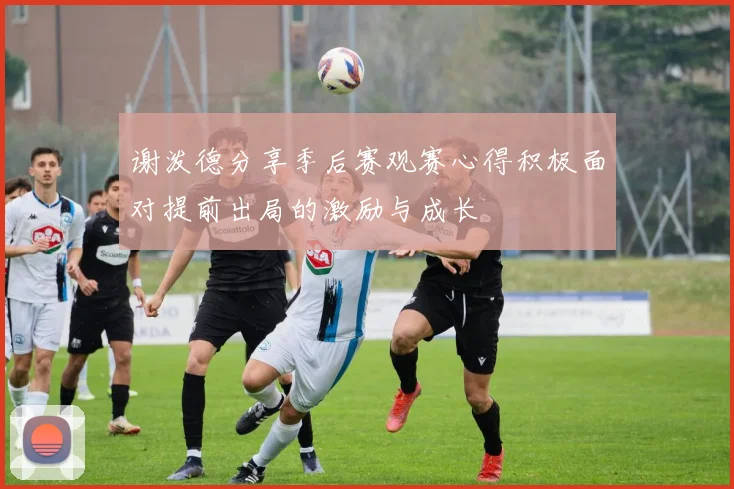 谢泼德分享季后赛观赛心得积极面对提前出局的激励与成长