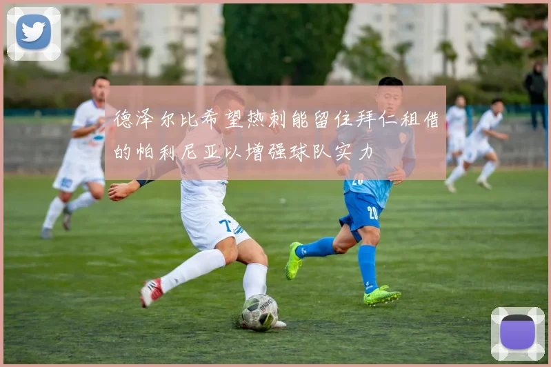 德泽尔比希望热刺能留住拜仁租借的帕利尼亚以增强球队实力